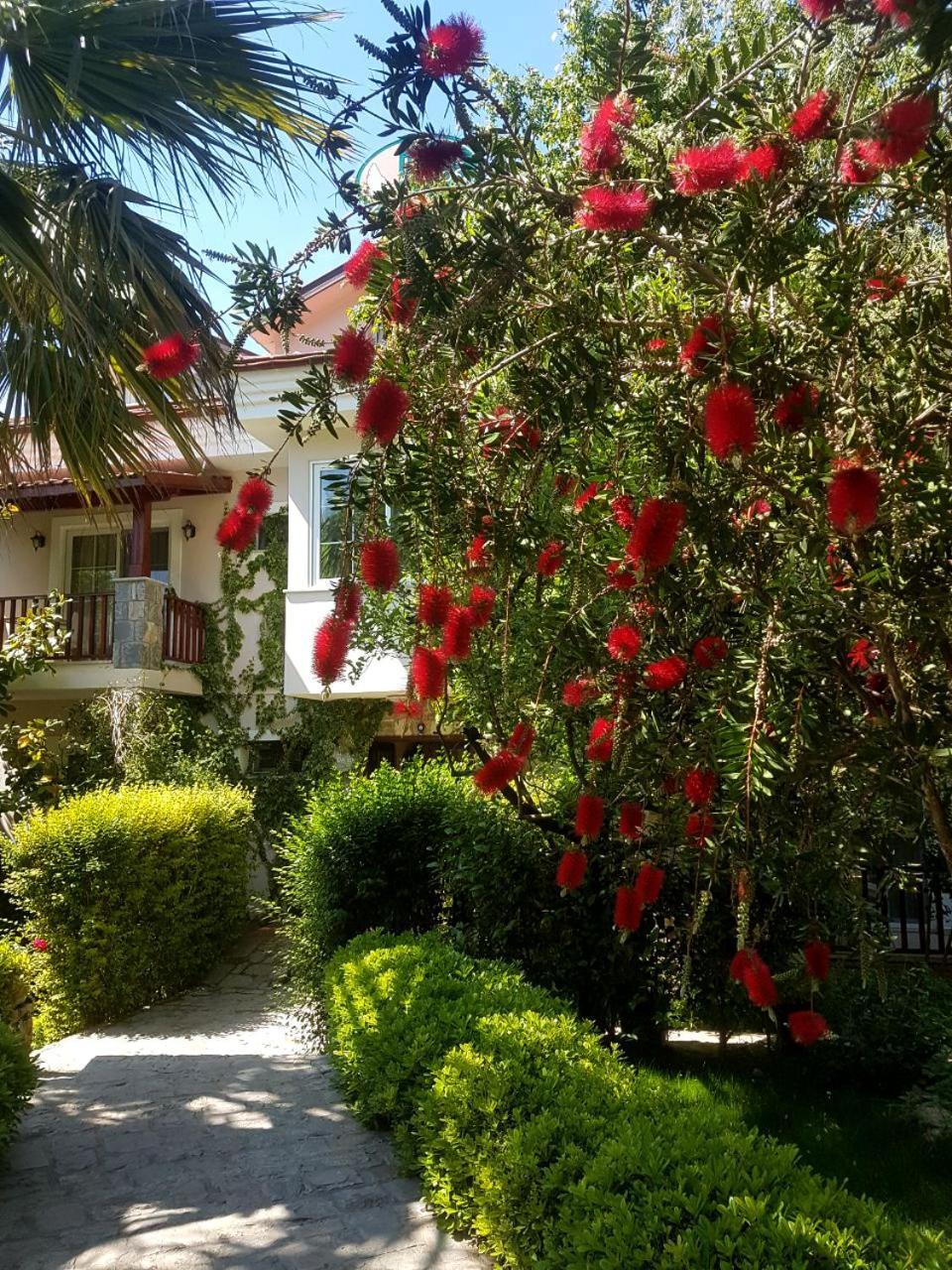 Hotel Dalos Göcek Exteriér fotografie